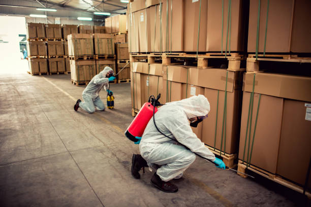 Best Pest Inspection Near Me  in Rancho Alegre, TX