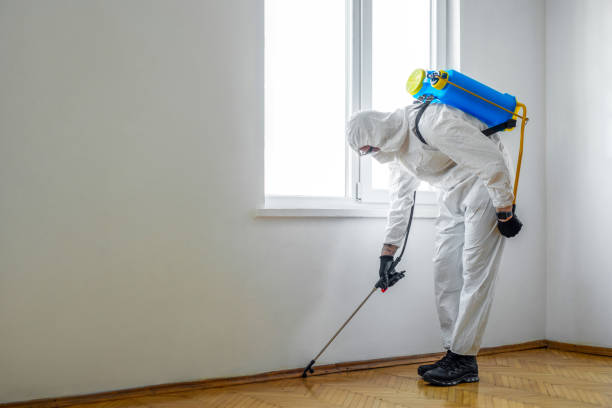 Best Flea Control Services  in Rancho Alegre, TX